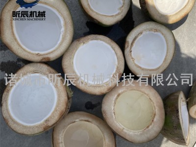 做切割带皮青椰子的椰子切半机厂家