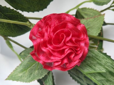 胸花 鞋花腰花 *
