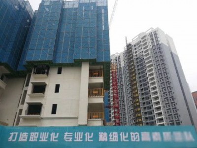 附着式升降脚手架/全钢爬架