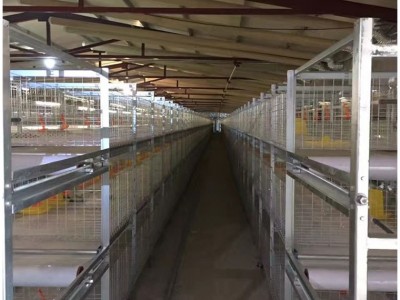 养鸡场养鸡用肉鸡笼立式鸡笼层叠鸡笼鸡笼厂家山东金石农牧机械