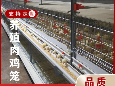 鸡笼框架 肉鸡笼养设备 养鸡笼 养鸡设备 蛋鸡笼养设备
