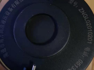 ZNGL02010201南通南方润滑油滤芯