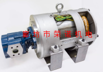 SB油浸式电机 25KW 4级 SBBL4P301