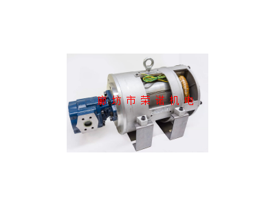 SB油浸式电机 25KW 4级 SBBL4P301
