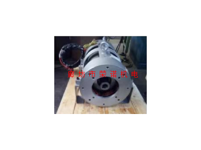 SB油浸式电机 18.5KW 4级 SBBL4P300
