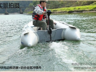 圣来汐推进器,3马力电船外机,24伏电动船挂机