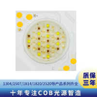 1919外形14发光面RGBW36W30V22V质保三年
