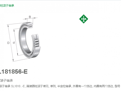 代理德国INA轴承SL181856-E-C3