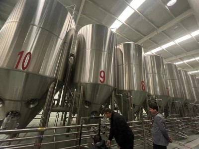 啤酒厂酿酒设备 年产2万吨大型啤酒设备生产厂家 免费安装
