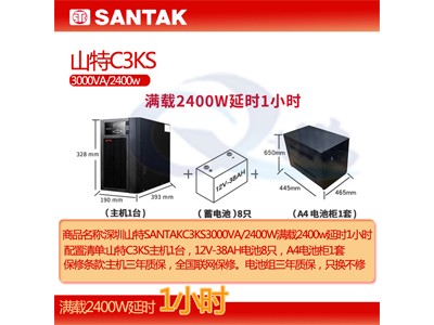 网络ups电源设备C3KS长机山特ups不间断电源带蓄电池