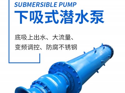 下吸式潜水电泵厂-天津潜水泵厂QJX500技术参数