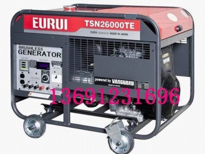 原装日本进口汽油发电机TSN26000TE
