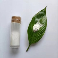 催化剂400NM偏钛酸水合二氧化钛CY-TP400