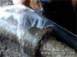 上海水管漏水检测维修、消防管漏水检测、管道漏水检测
