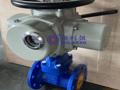 多回转阀门电动装置 DZW120-24W/T开关型电动执行器