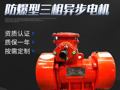 YBZH112-10-2粉尘防爆振动电机