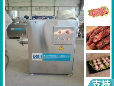 冻肉冻盘绞肉机 不锈钢肉制品加工设备 撒尿牛丸绞馅机