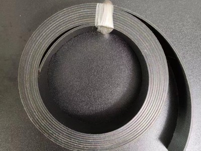 德国西格林片基带TT 10/1尼龙片基输送带托盘输送机皮带