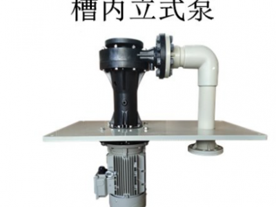 槽内立式泵